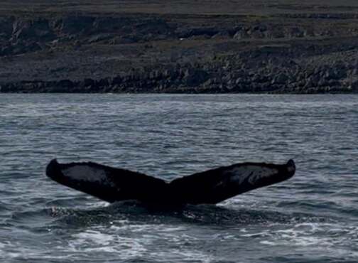  - Hard Nord Expedition