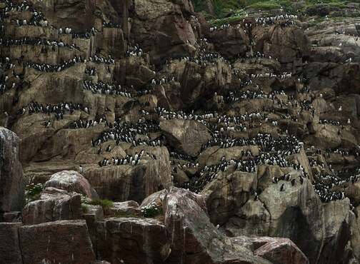  - Hard Nord Expedition
