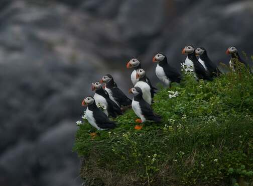  - Hard Nord Expedition
